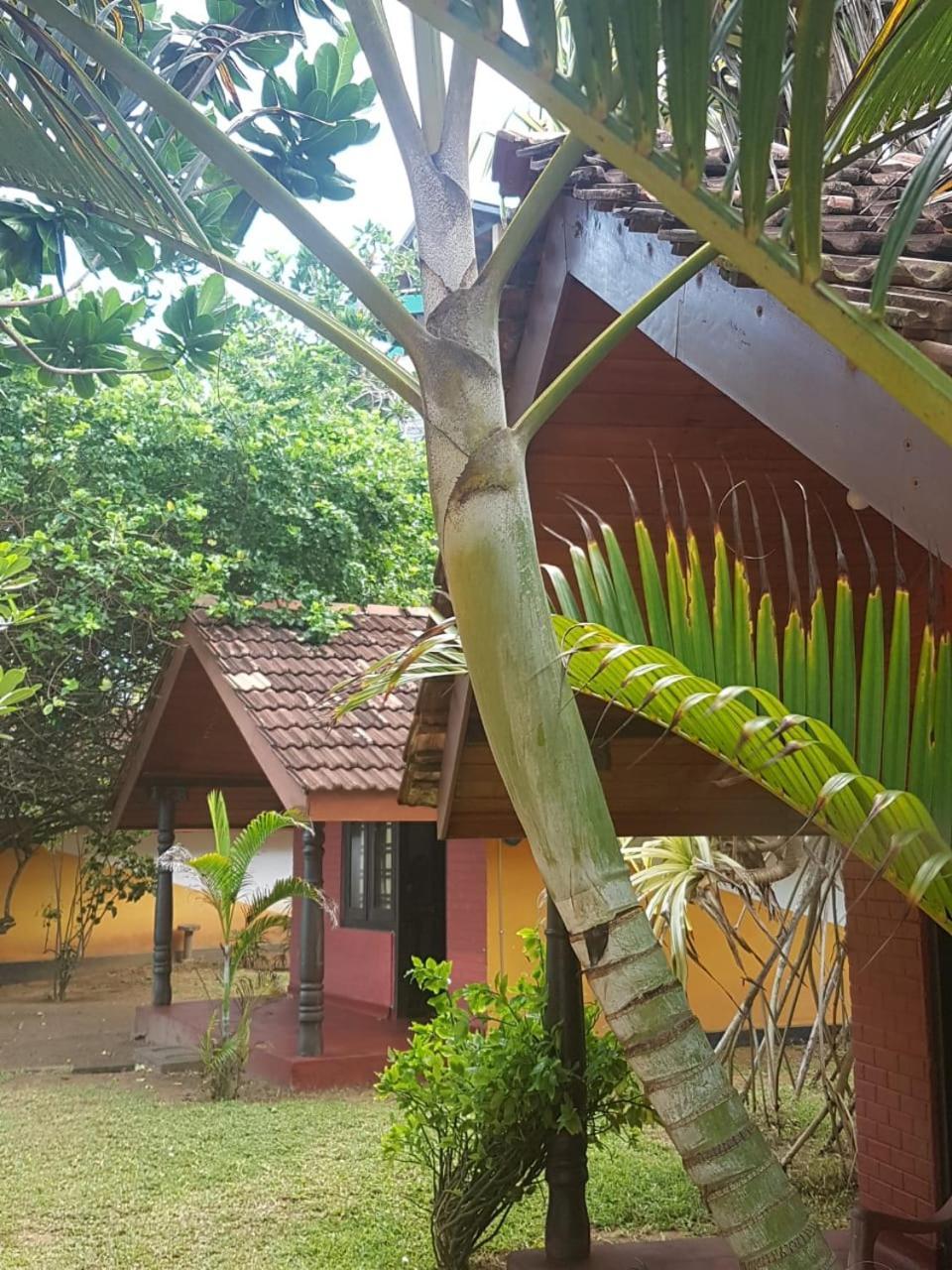 Dreamvillage Dodanduwa Zewnętrze zdjęcie